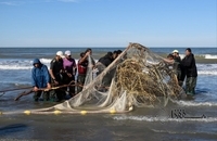 تورهای پاره، سهم صیادان از ماهیگیری پس از سیل در مازندران (15)