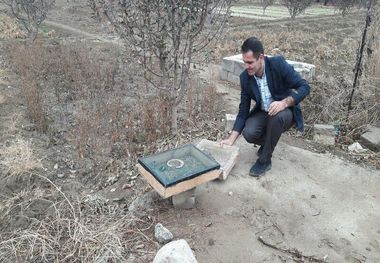 ۴۹ بال سهره طلایی در طبیعت مهاباد رها شد