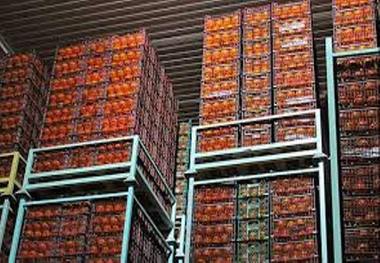 یکهزار تن میوه شب عید در خراسان شمالی تامین شد