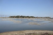 «تالاب لپو» در مازندران خشک شد