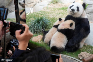 منتخب تصاویر امروز جهان - 1 و 2 فروردین 1404