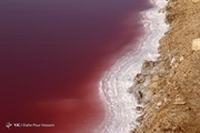 چرا دریاچه نمک قم سرخ شد؟ + عکس