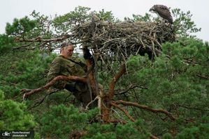 منتخب تصاویر امروز جهان- 2 مرداد