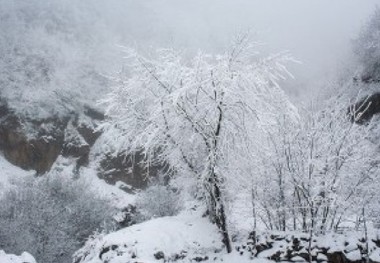 دمای هوای مازندران زیر صفر می رود