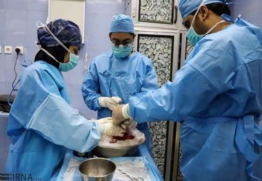 اهدا عضو در یزد جان افراد نیازمند را نجات داد