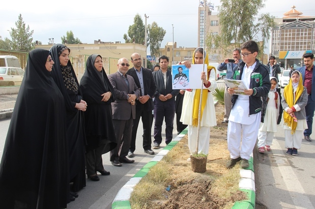 27 نهال به یاد 27 شهید سرافراز مدافع وطن در زاهدان کاشته شد