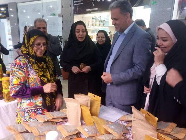 بازارچه دائمی صنایع دستی در پردیس راه اندازی شد