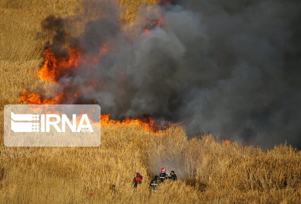 آتش سوزی در ارتفاعات وزکور کوهنانی لرستان