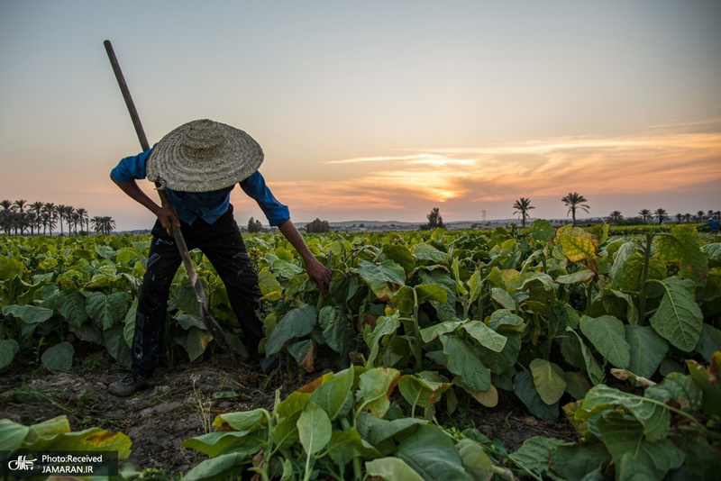 منتخب تصاویر امروز جهان- 3 خرداد 1400