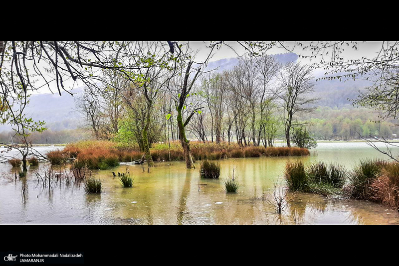 دریاچه آویدر نوشهر