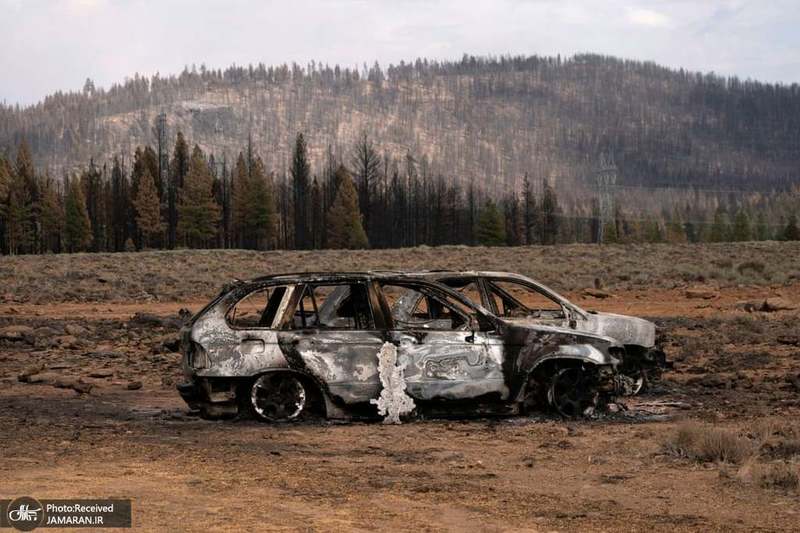 منتخب تصاویر امروز جهان- 30 تیر 1400