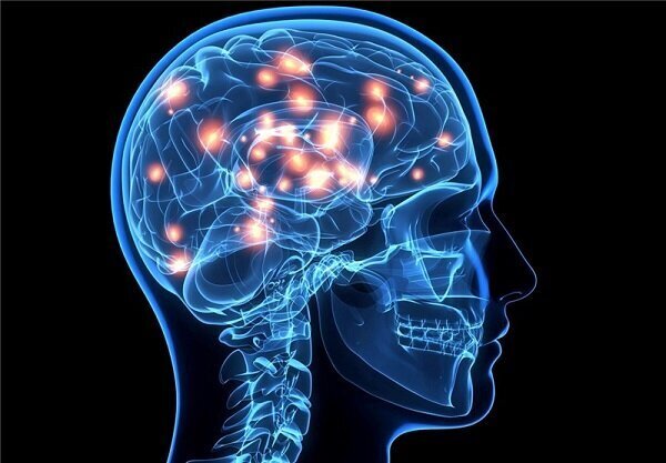 مغز بعد از یک هفته ورزش منظم چه تغییری می‌کند؟