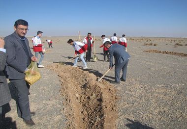 بذرپاشی آنغوزه شیرین در ۵۰ هکتار مراتع ابرکوه آغاز شد