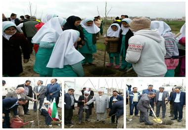 19 هزار اصله نهال در معابر شهری گنبدکاووس غرس می شود