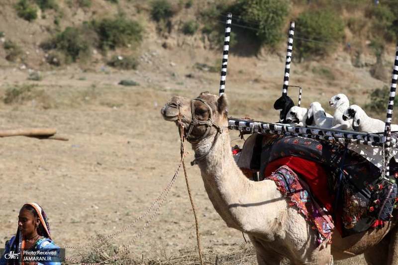 منتخب تصاویر امروز جهان- 17 آذر