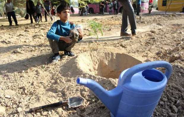 طرح ملی جنگلانه در فرخشهر اجرا شد