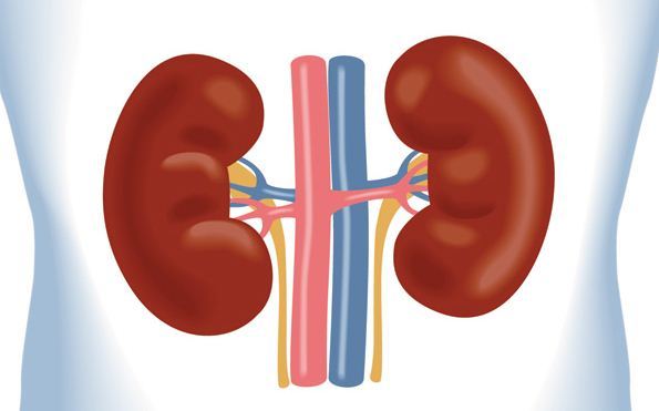 بیماری کلیوی خطر دیابت را افزایش می‌دهد