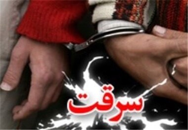 برای سرقت از خانه مادرزنم دزد استخدام کردم