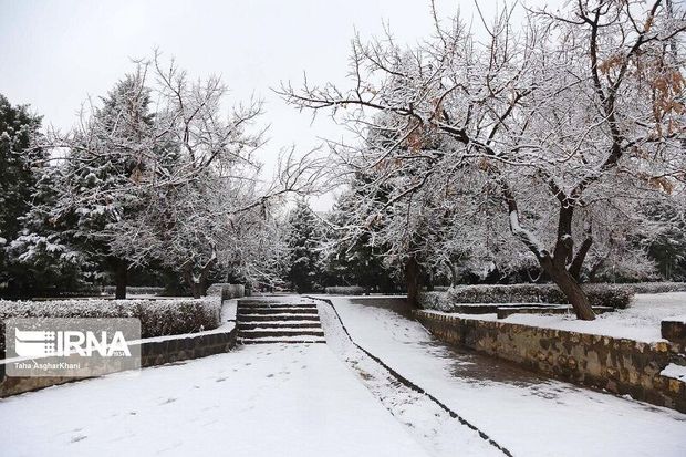 دستگاه‌های امدادی و خدمات‌رسان در ایلام به حالت آماده‌باش درآمدند