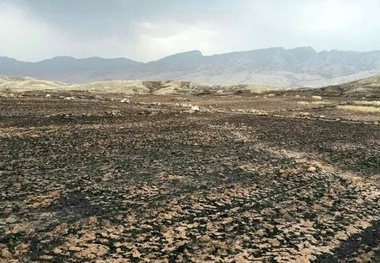 ماجرای آتش‌سوزی باغستان قزوین حل و فصل شد