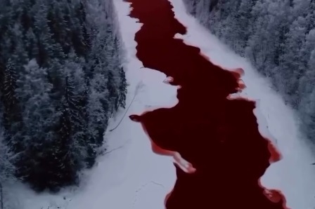 رودخانه خونی در روسیه! + فیلم