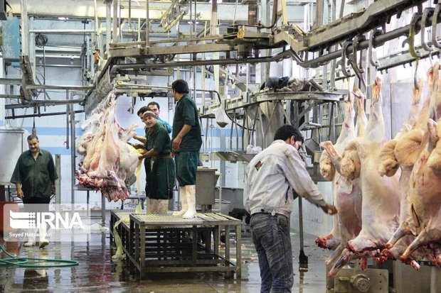 بیش از یک هزار تُن به ظرفیت تولید گوشت کردستان اضافه شد