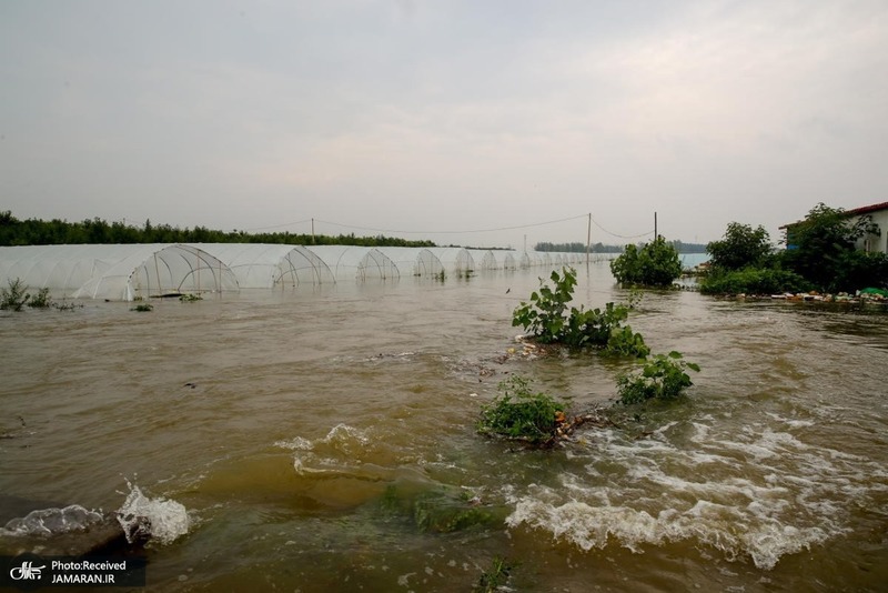 منتخب تصاویر امروز جهان- 1 مرداد 1400