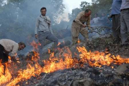 فرماندار:تلاش برای مهار آتش در جنگل ها و مراتع باشت ادامه دارد