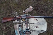 یک شکارچی متخلف پرندگان در سردشت دستگیر شد