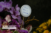 حمایت مردم تهران از مردم اوکراین پس از حمله روسیه (5)