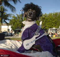 منتخب تصاویر امروز جهان - 7 آبان 1401