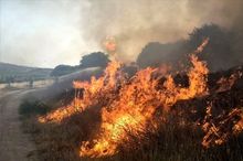 هورالعظیم در آتش می‌سوزد/ دود سدسازی ترکیه در چشمان مردم خوزستان/ ورود دستگاه دیپلماسی؛  تنها راه باقیمانده برای نجات خوزستان