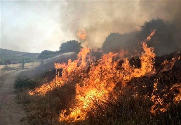 هورالعظیم در آتش می‌سوزد/ دود سدسازی ترکیه در چشمان مردم خوزستان/ ورود دستگاه دیپلماسی؛  تنها راه باقیمانده برای نجات خوزستان