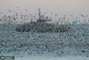 منتخب تصاویر امروز جهان- 28 بهمن 1400