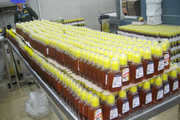 ۱۳ تن عسل تقلبی در اردبیل کشف شد