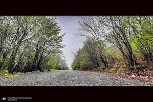 دریاچه آویدر نوشهر