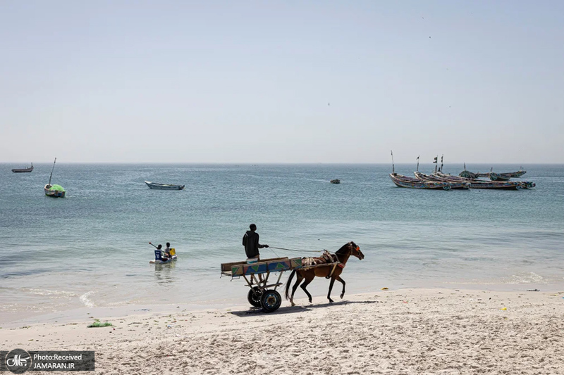 منتخب تصاویر امروز جهان - 19 و 20 بهمن 1403