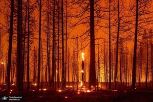 منتخب تصاویر امروز جهان- 14 مرداد 1400