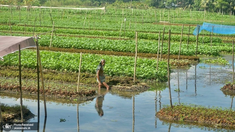 منتخب تصاویر امروز جهان- 6 آبان 1400