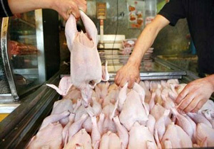 پرونده ۲۰ میلیارد تومانی مرغ در مازندران