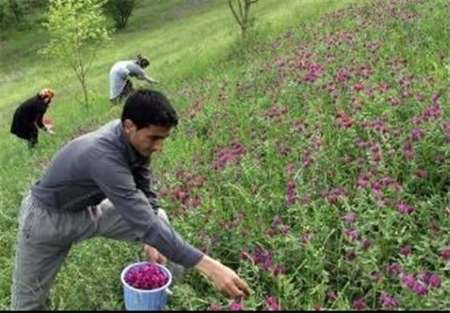 حفاظت از منابع طبیعی کشور را جدی بگیریم