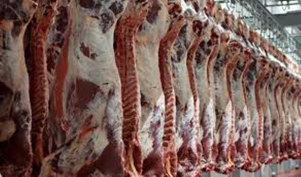 70 درصد گوشت مصرفی خراسان شمالی از دام سبک است
