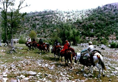 رئیسی که قرار نیست ‌بازنشسته نشود