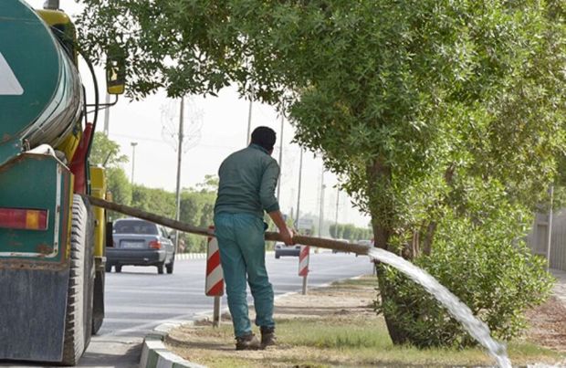 ۱۰۰ میلیارد تومان برای جداسازی آب فضای سبز یزد نیاز است