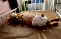 شام قدیح، کودک دو ساله فلسطینی (3)