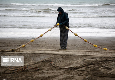 فصل صید ماهیان استخوانی در مازندران تمدید نمی‌شود