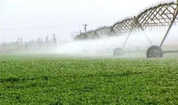 وام ۲۰ درصدی بدرد کشاورز نمی‌خورد