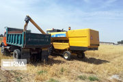 تعاون روستایی آذربایجان‌شرقی ۱۸۰ هزار تن محصولات کشاورزی خریداری کرد