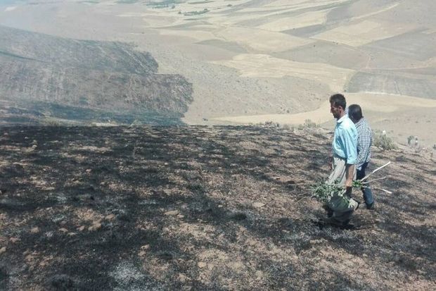 آتش سوزی در ارتفاعات مسجدسلیمان در حال پیشروی است