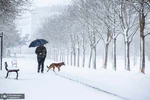 منتخب تصاویر امروز جهان- 16 دی